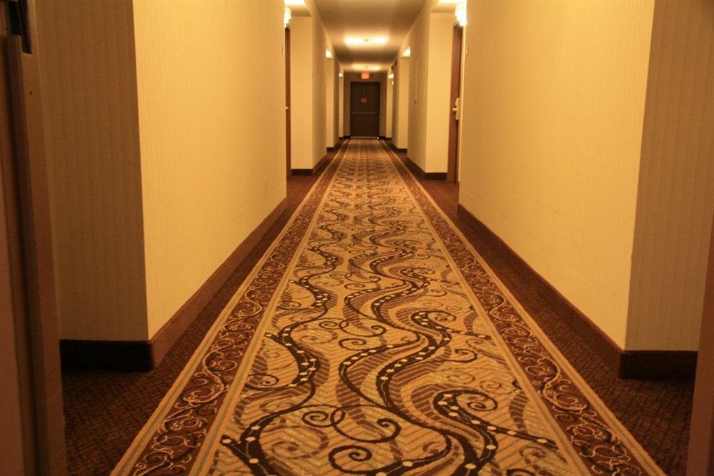 Quality Inn - Niagara Falls Blvd Eksteriør bilde